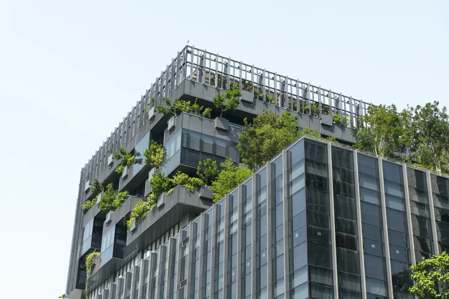 Green building certyfikacja zrównoważonego budownictwa