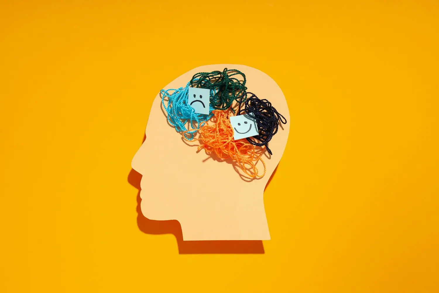 Neuroplasticity elastyczność mózgu mechanizmy adaptacyjne