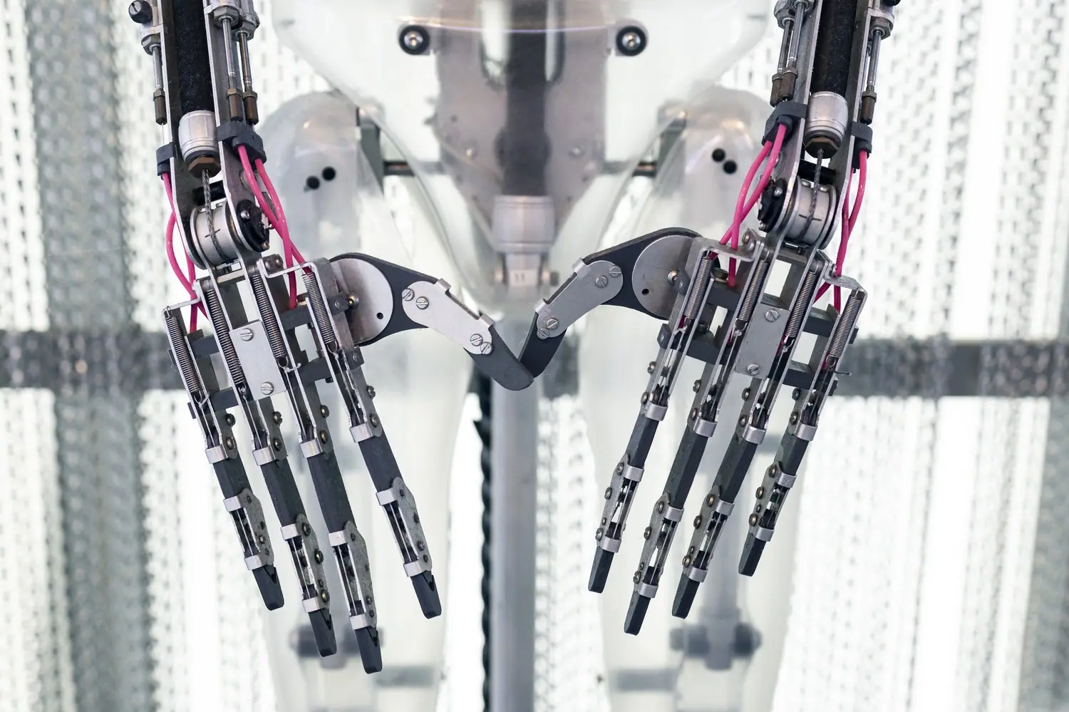Sztuka bioniczna technologia natura symbioza