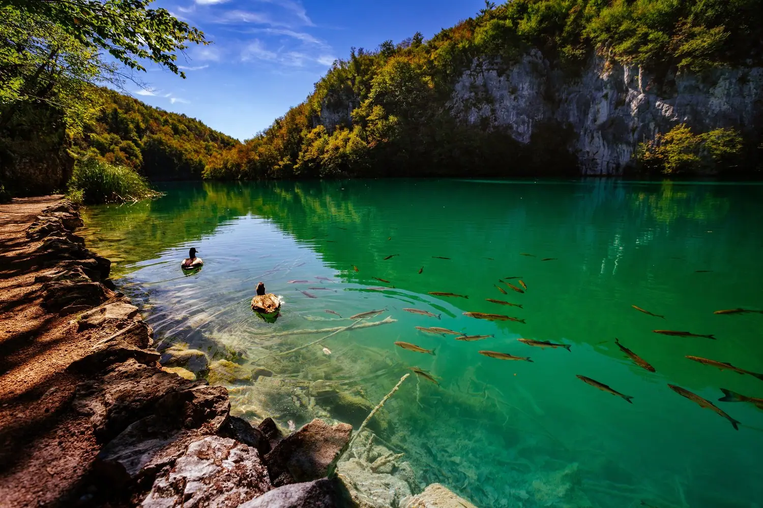 Chorwacja kontynentalną część parki narodowe jeziora Plitvice transport